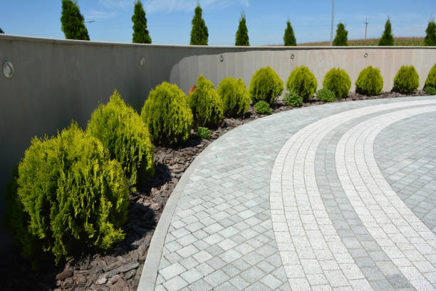 Best Residential Driveway Paving in Cordova, AK